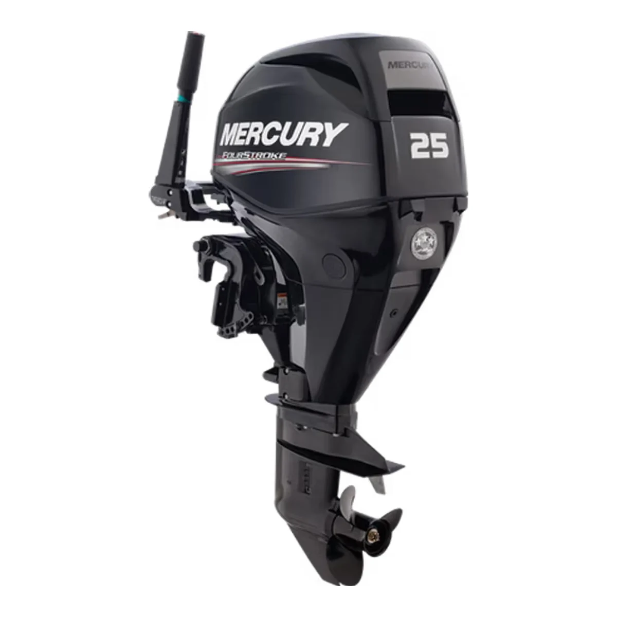 Mercury 25HP EFI