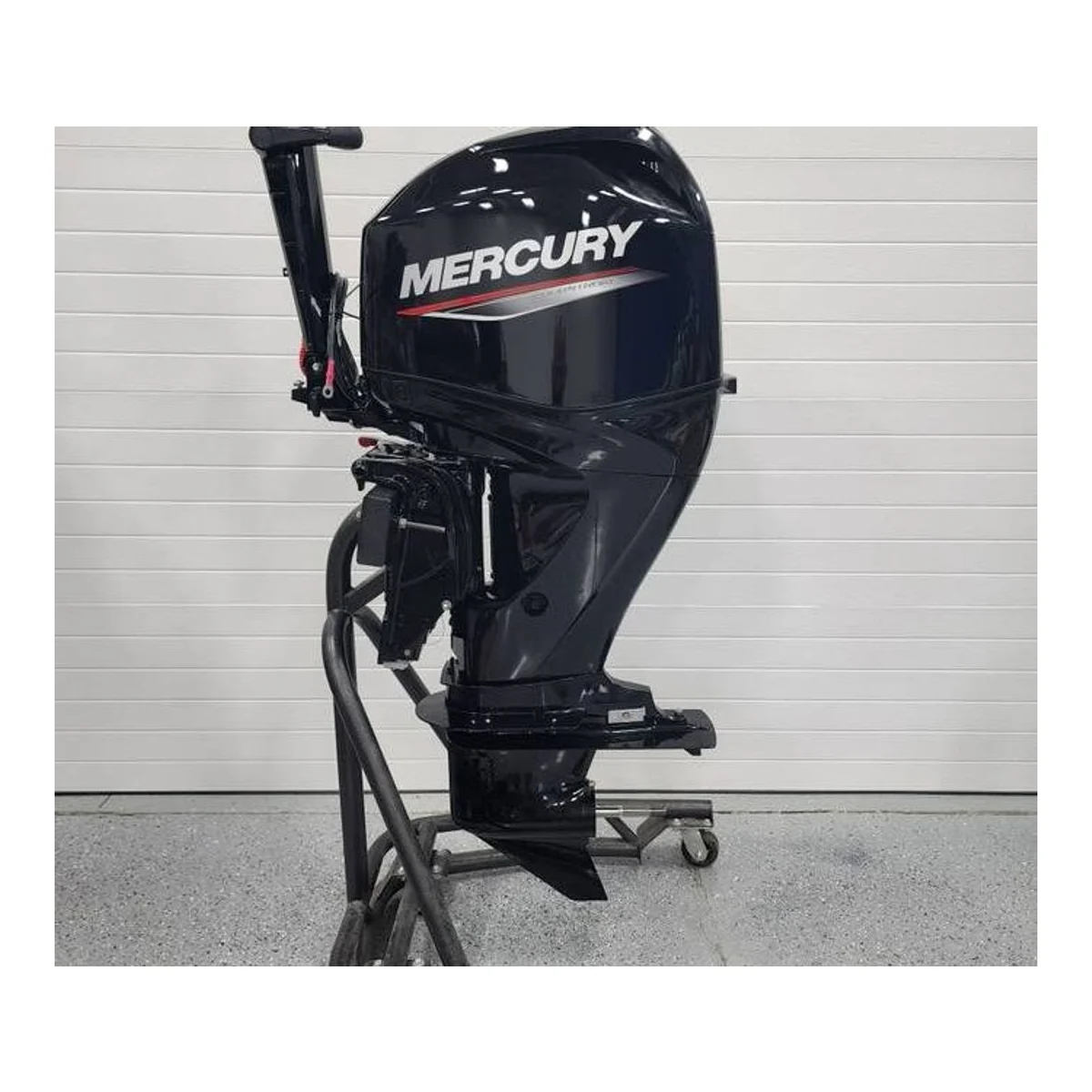 Mercury 60HP Command Thrust