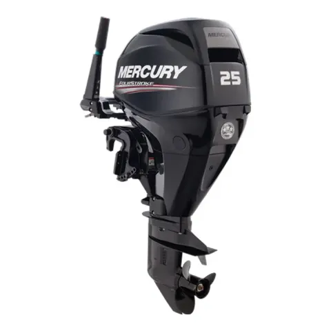 Mercury 25HP EFI